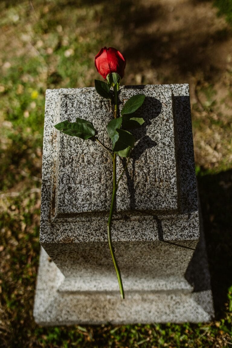pexels-rdne-6841683